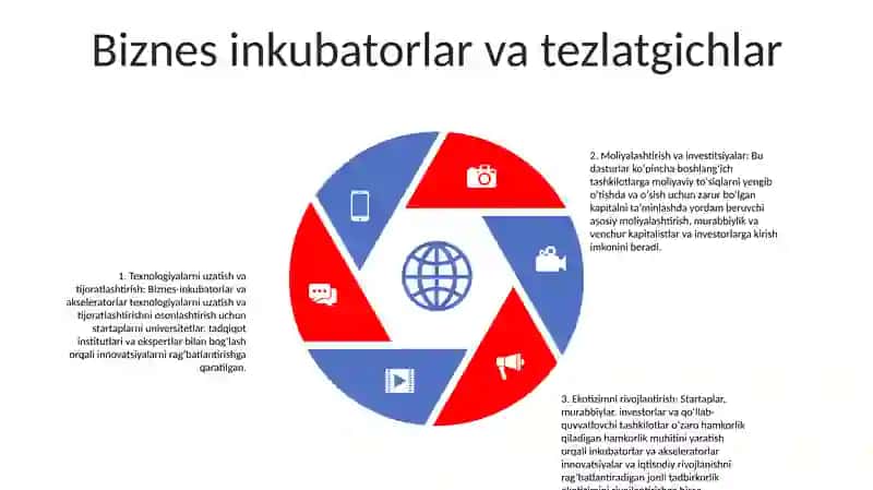 Tadbirkorlik Faoliyatini Qolab Quvatlashning Xorij Tajribalari 4