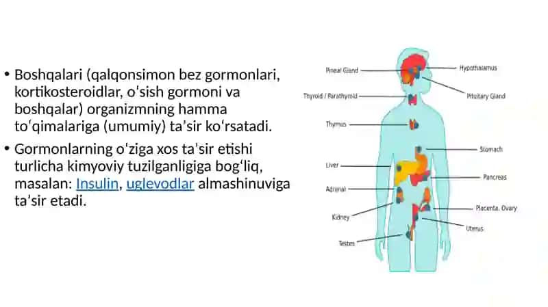 Gormonlarning nishon hujayralarga ta’sir mexanizmi 4