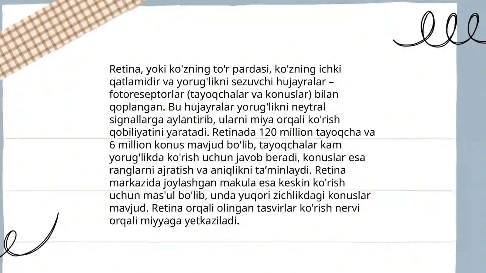 Ko‘rish analizatori 4
