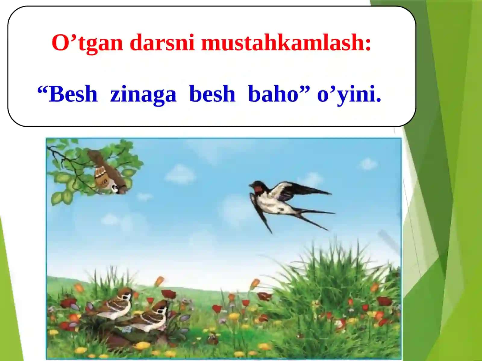 Mavzu:Qafasdagiqushchavako`rshapalak 4