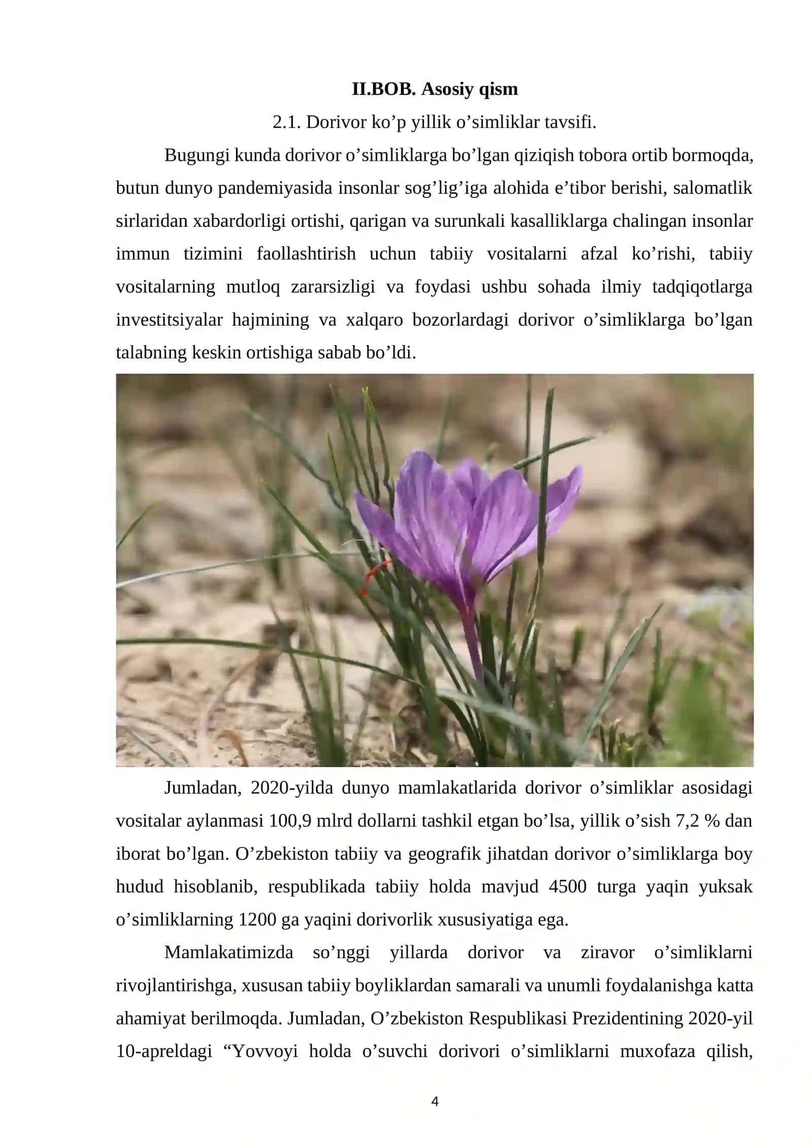 Dorivor ko’p yillik o’simliklar tavsifi. Dorivor ko’p yillik o’simliklarni ko’chatlarini yetishtrish agrobiotexnologiyasi 4