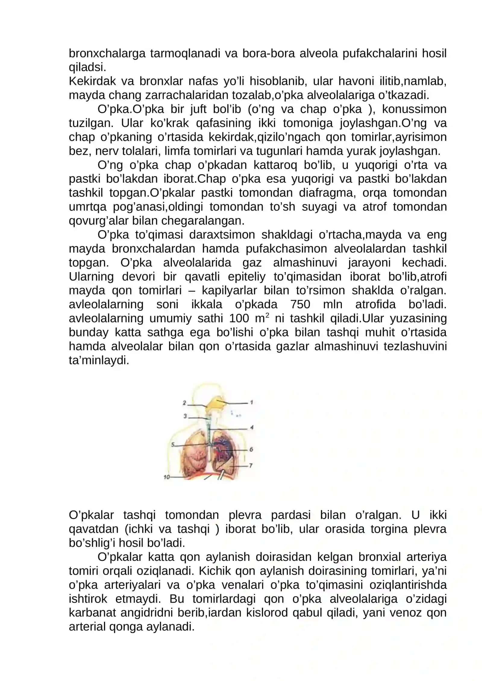 Odam va hayvon fizologiyasi fanidan KURS ISHI 4