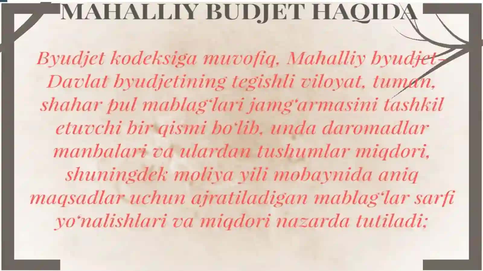 Mahalliy Byudjetlar 4