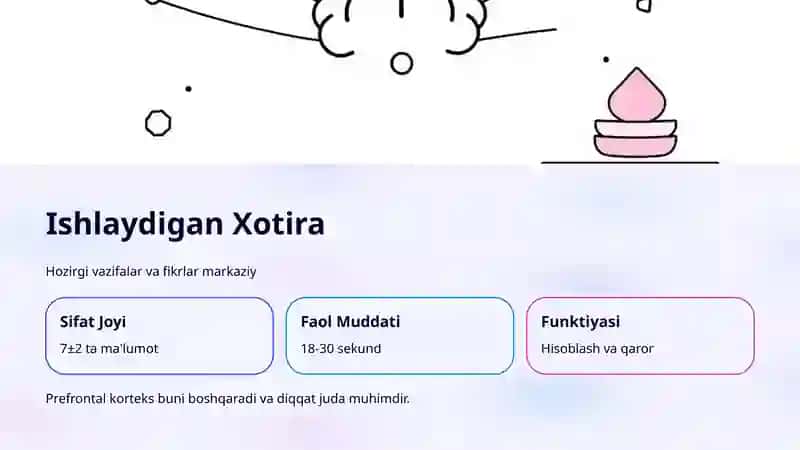 Xotira: Hissiy, Ishlaydigan va Uzoq Muddatli Xotira 4
