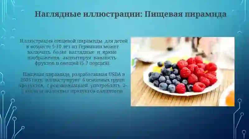 Примеры правильного питания: сбалансированные рационы 4