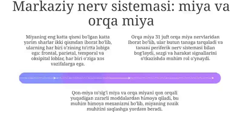 Nerv sistemasining tuzilishi 4