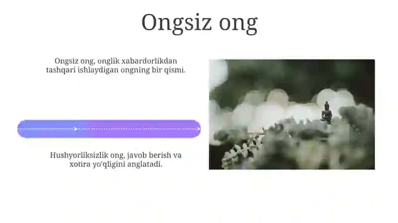 Ong taraqqiyoti va ongsizlik 4