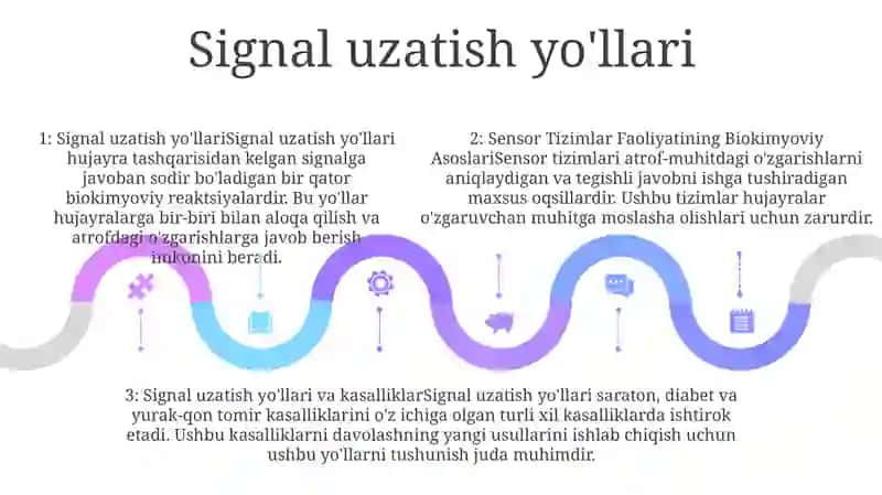 Sensor Tizimlar Faoliyatining Biokimyoviy Asoslari 4