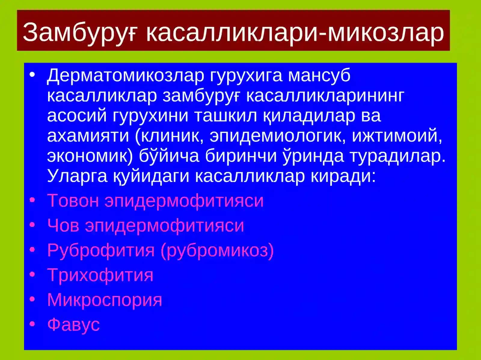 zamburug'li teri kassaliklari 4
