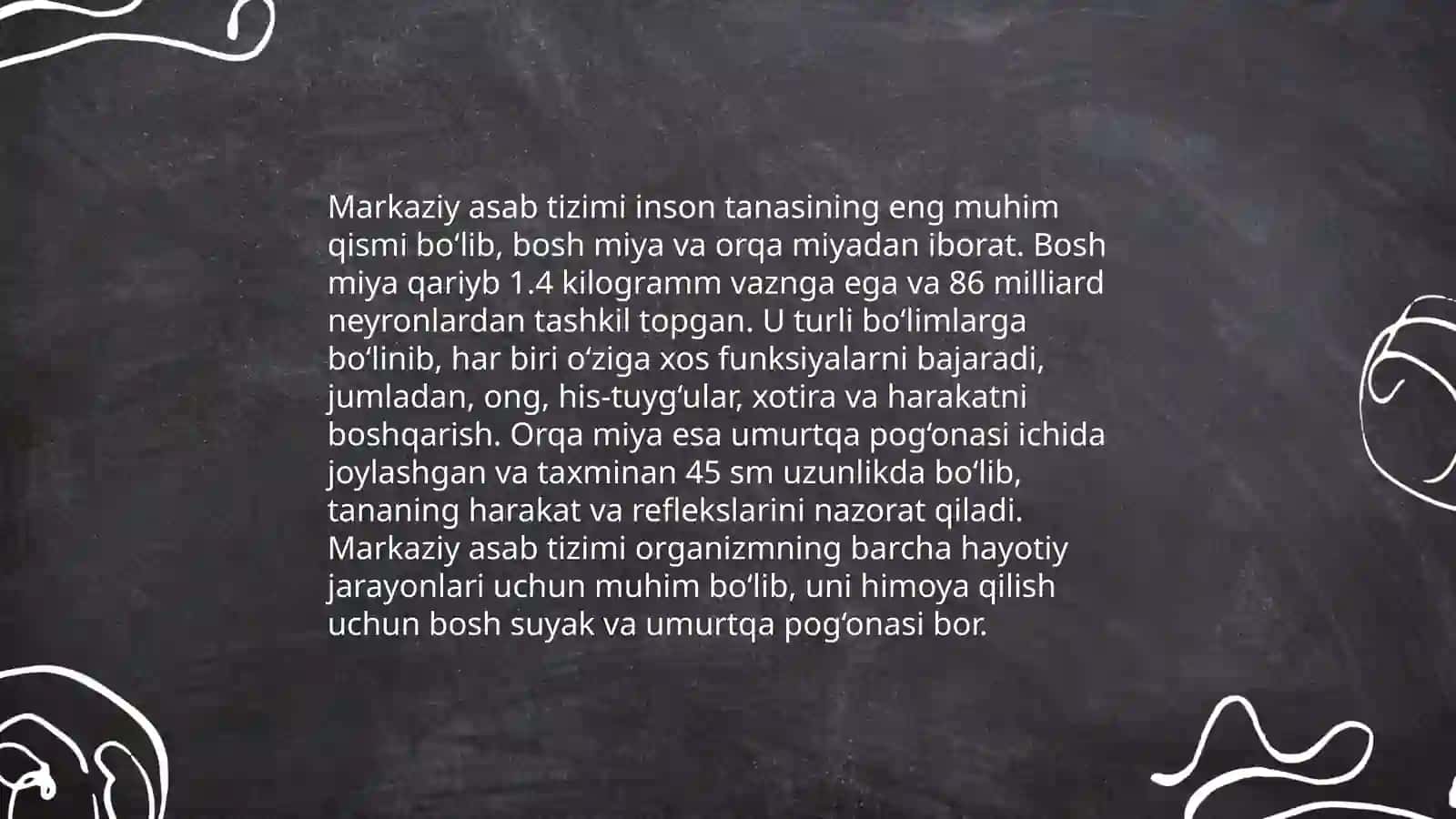 Markaziy Asab tizimi fiziologiyasi 4