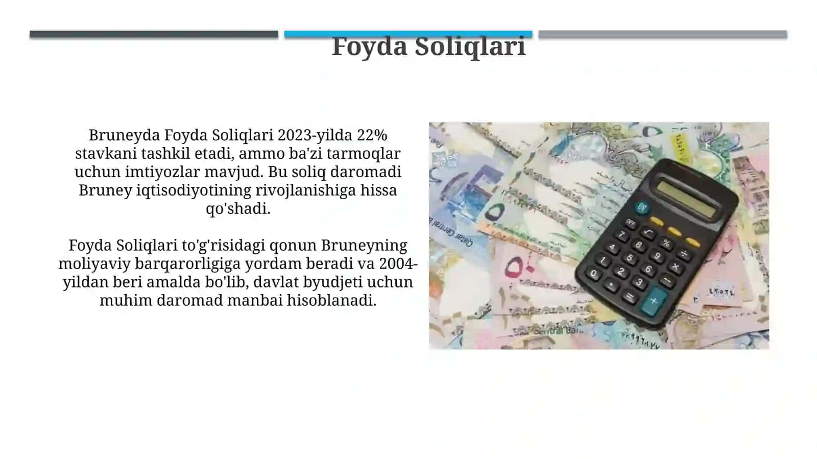Chet el soliq tizimi Bruniya davlati soliği 4