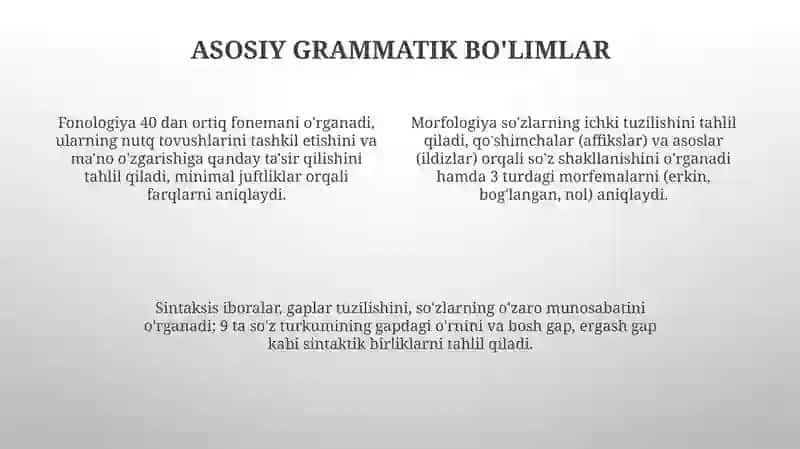 Grammatika: til strukturasini órganuvchi soha sifatida 4