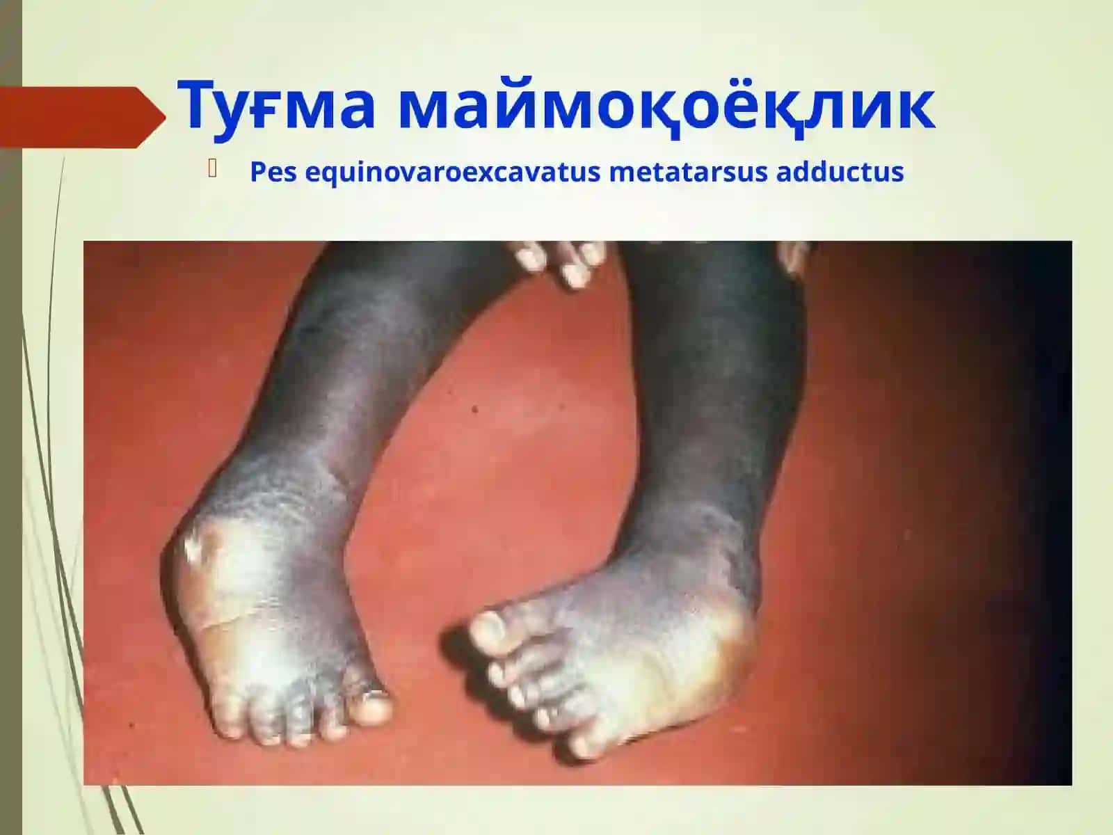 MAYMOQOYOQLIK.  YASSIOYOQLIK. 4