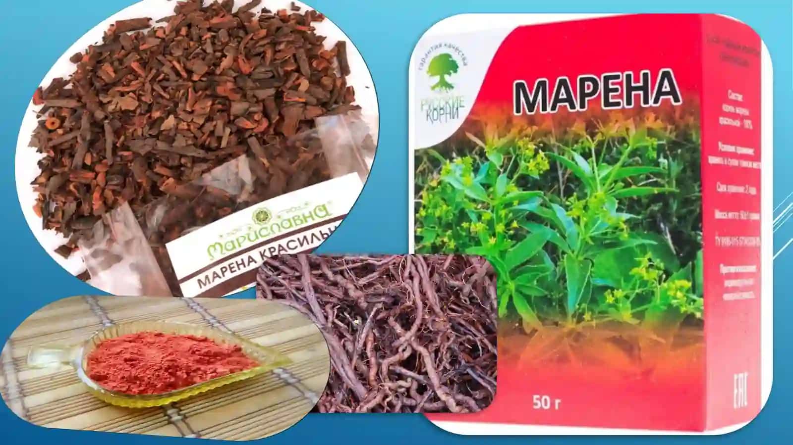 Интродуциент доривор ўсимликларни дориворлик хусусиятлари 4