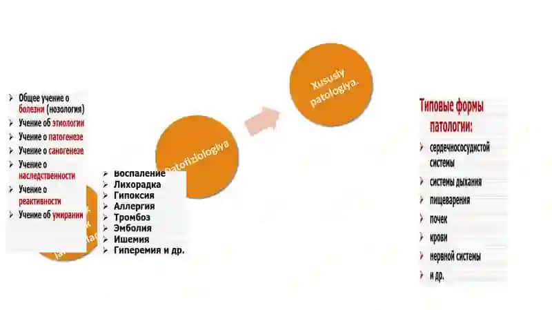 Nozologiya, etiologiya, patogenez, sanogenez haqida umumiy tushuncha. 4