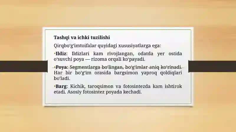 qirqbo'g'imtoifa o'simliklar bo'limi 4