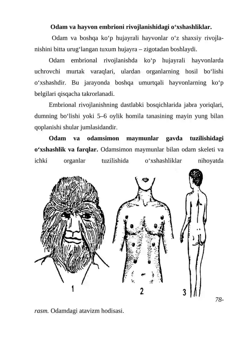 Odam evolutsiyasi 4