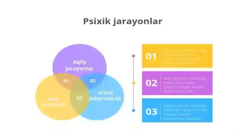 Psixik jarayonlarning vujudga kelishi 4