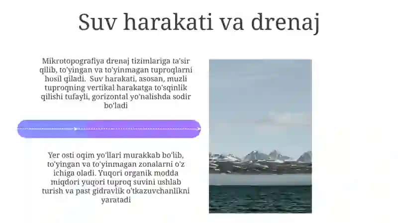 Arktika va subarktika tundra tuproqlari 4