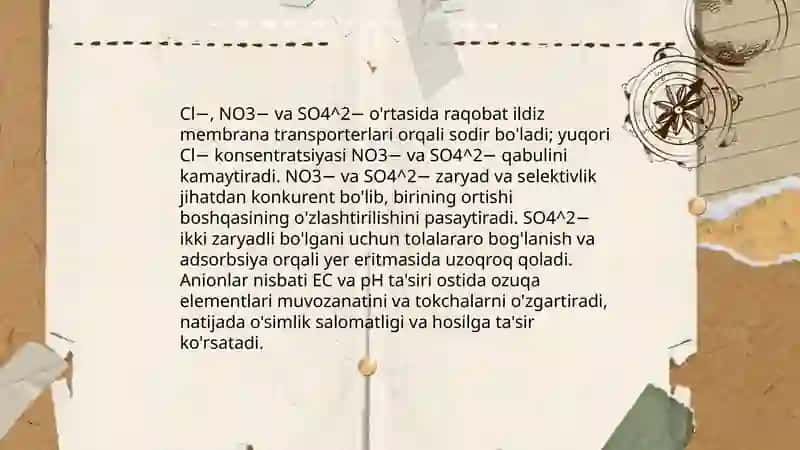 Tuproq eritmasidagi ionlar ularning nisbati va antogonizmi 4
