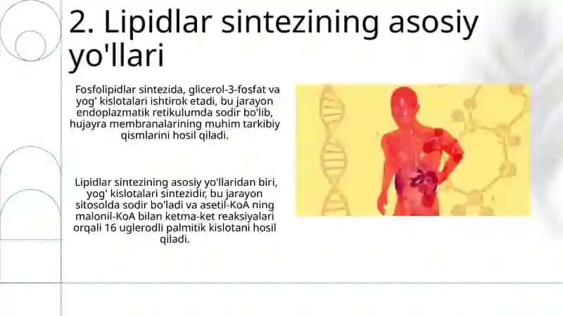 Lipidlar sintezi va almashinuvi 4