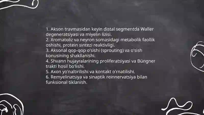 Nerv to‘qima- regeneratsiyasi, nerv uchlari-sinapslar, neyromediatorlar 4