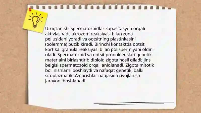 Progenez: taʼrif va proembrional davr bosqichlari 4