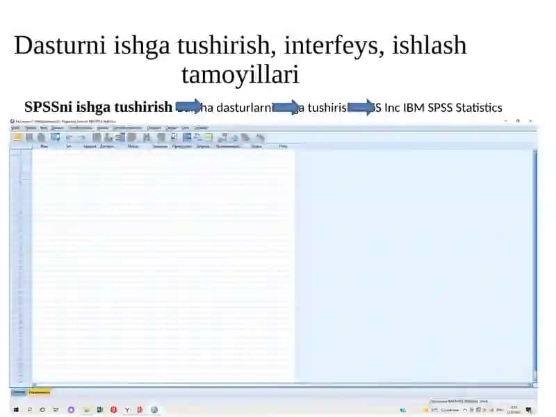 SPSS paketi 4