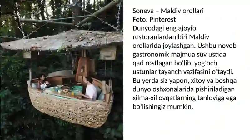Dunyo mamlakatlaridagi restoranlarni oʻziga xos xususiyatlari 4