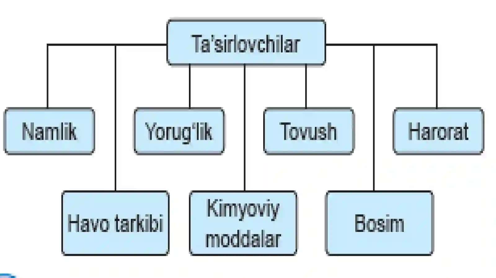 TIRIK ORGANIZMLARNING TA’SIRLANISHI 4