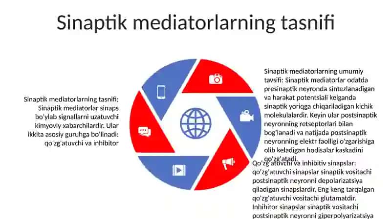 Sinaptik Mediatorlarning Umumiy Tavsifi 4