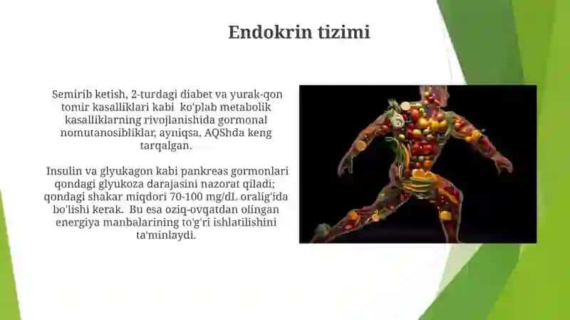 Ovqatlanish bilan boğliq fiziologik sistemalar 4
