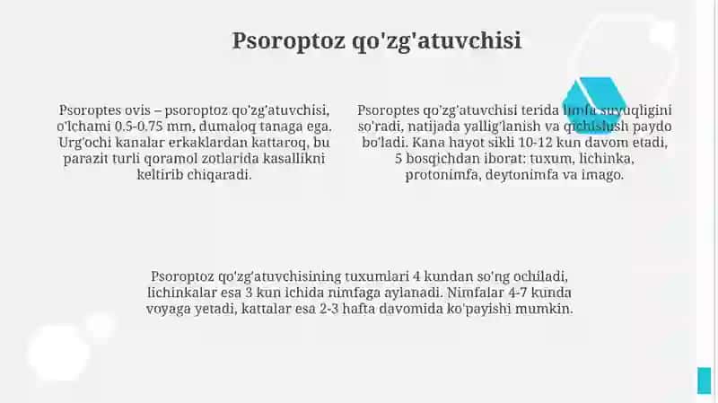 Qoramlopsoroptozi 4