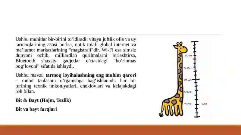 Aloqa muhiti kabel turlari (vitaya juftlik, optik tolali) va simsiz texnologiyalar (Wi-Fi, Bluetooth). 4