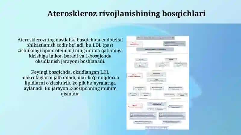 Ateroskeleroz rivojlanishining biokimyoviy asoslari 4