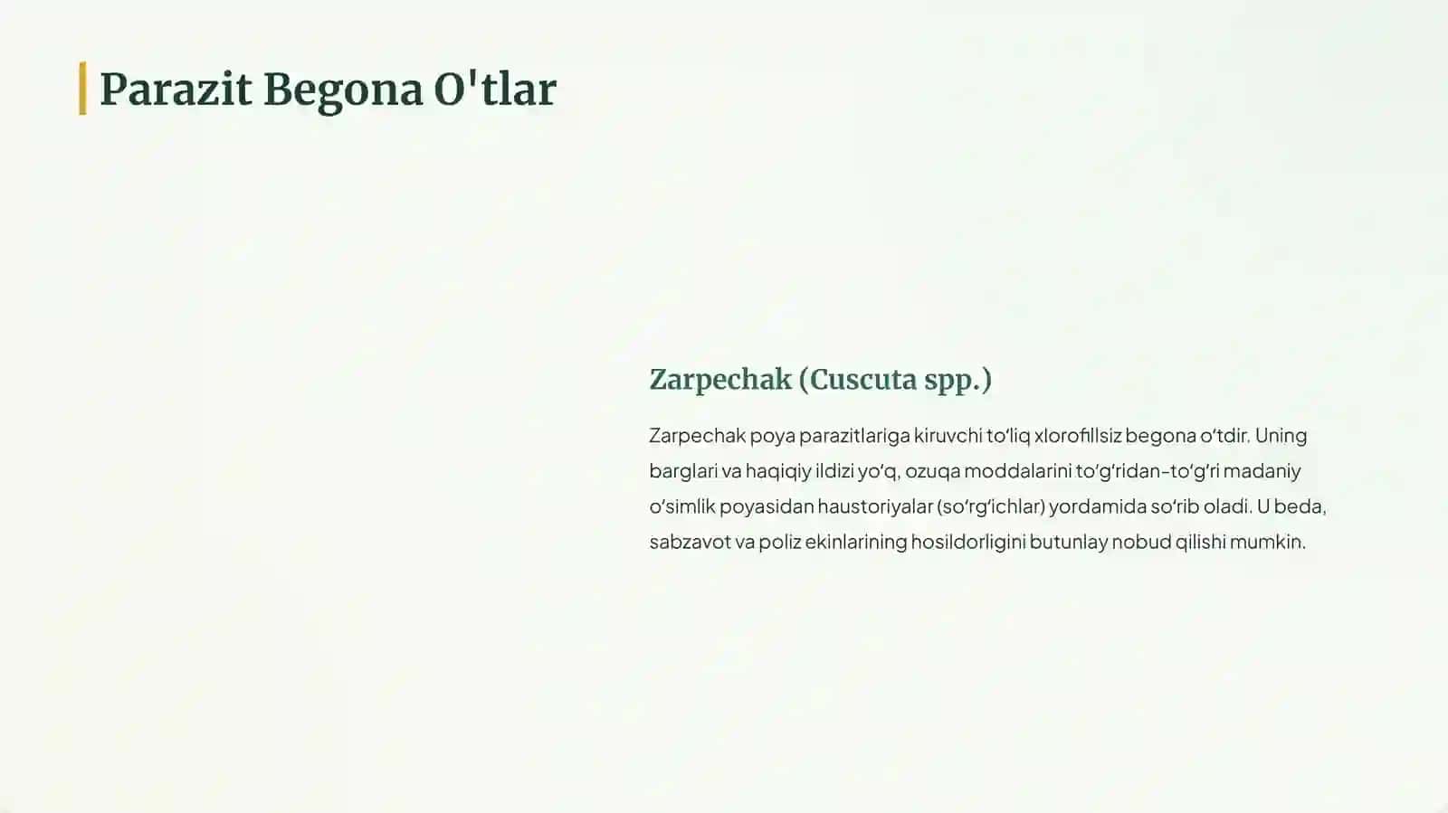 Begona Oʻtlar Klassifikatsiyasi 4