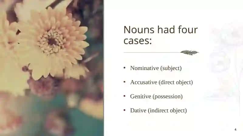The Historical Development of Noun Declensions 4