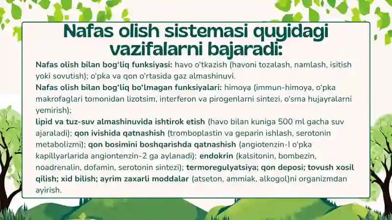 Nafas olish tizimi a’zolarining qiyosiy gistologik tavsifi 4