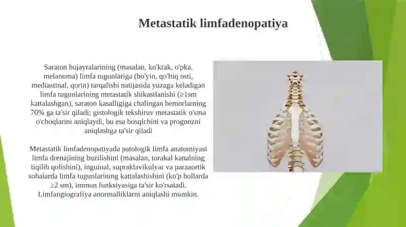 Limfa tug'un patalogik anatomiyasi 4