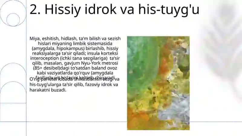 Hissiy irodaviy soha 4