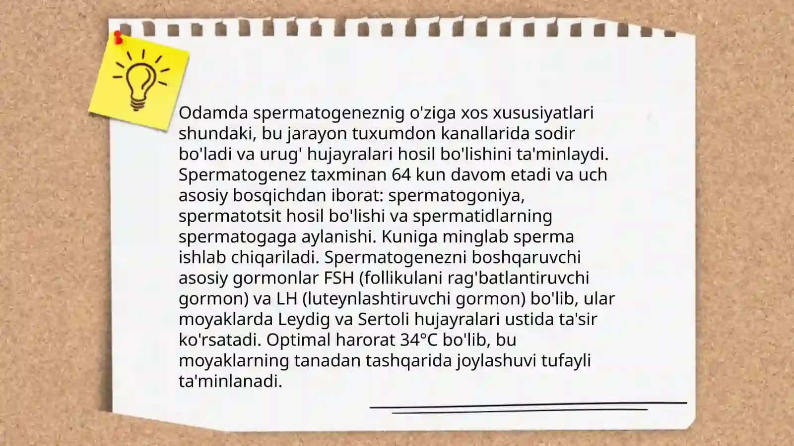 Odamda ovogenez va spermatogenezning oʻziga xosligi.Muhitning zarorlovchi omillari va ularning reproduktiv qobiliyatiga taʼsiri. Muhit omillarining embriogenezga taʼsiri.Odamda rivojlantirishning qaltis davrlari 4