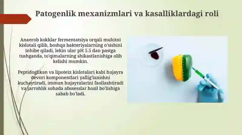 Jarrohlik va ginekologik kasalliklarda anaerob kokklar infeksiyalari 4