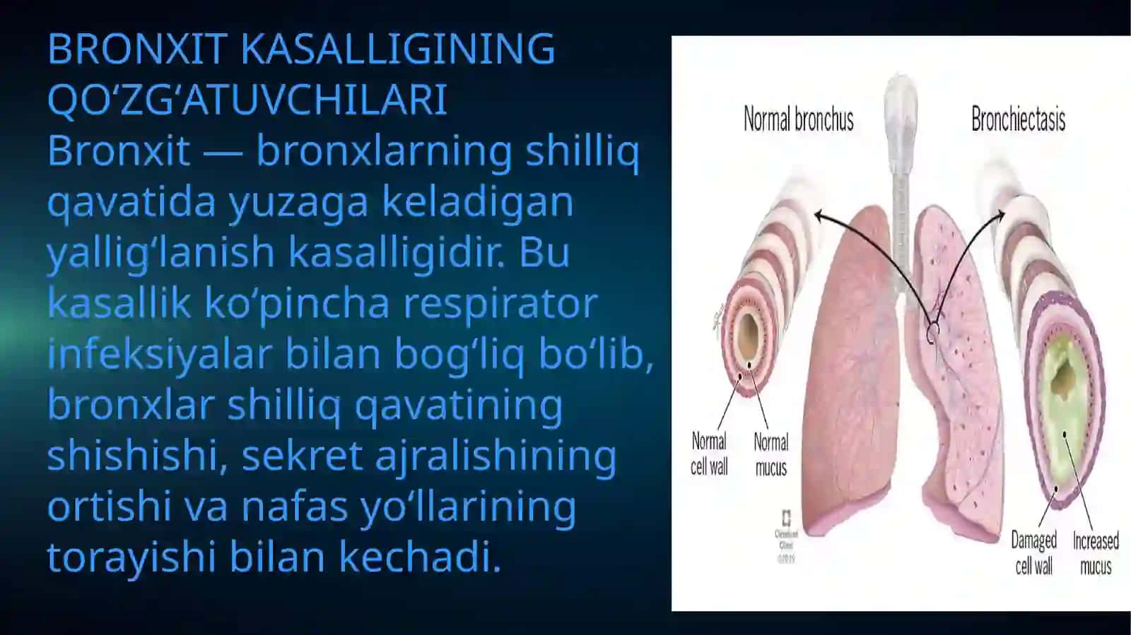 Mikrobiologiya va immunologiya fanidan tayyorlagan mustaqil ish 4