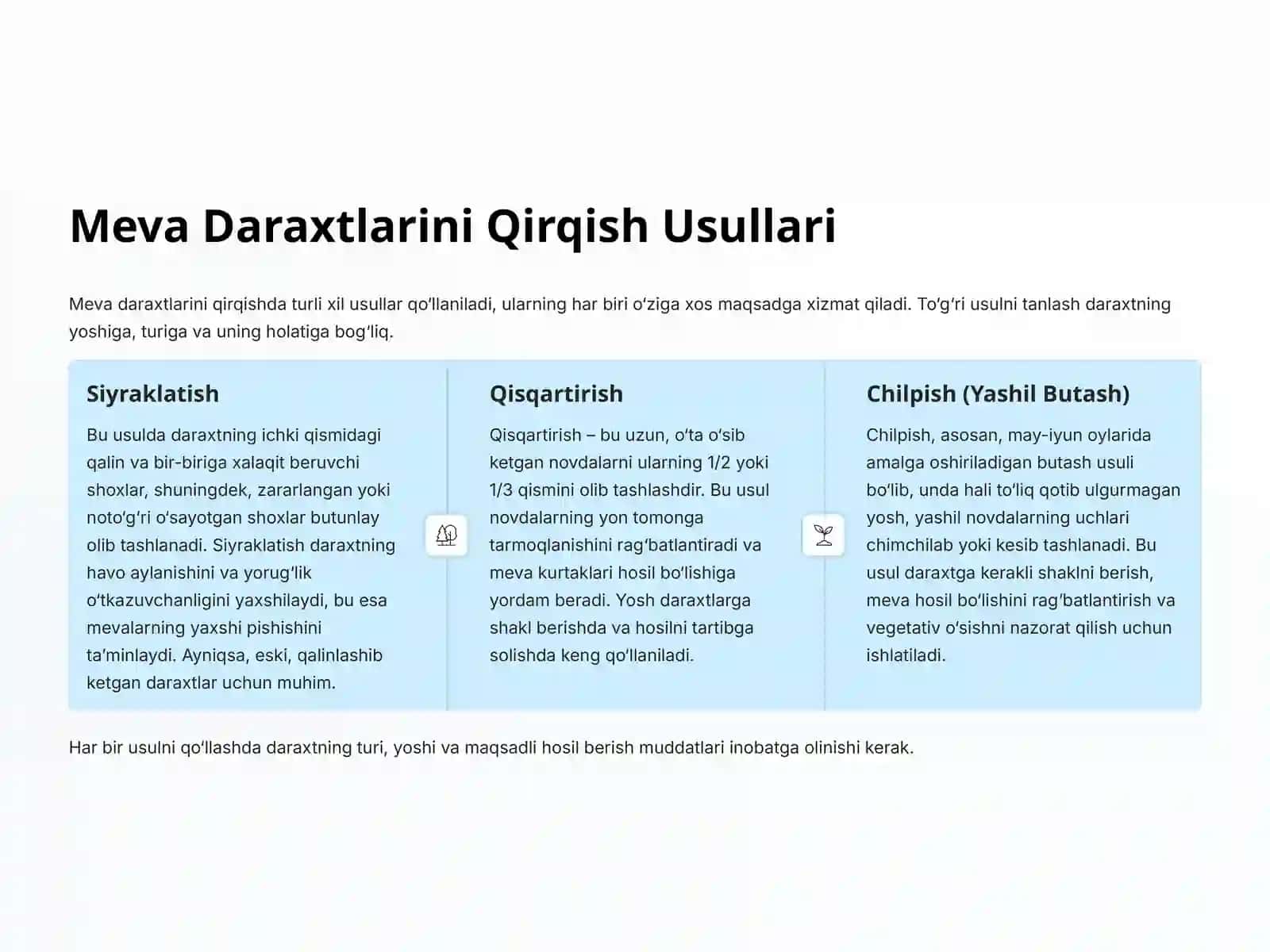 Meva Daraxtlariga Shakl Berish va Qirqish: Hosildorlik va Sifat Sirlarini O‘rganamiz 4
