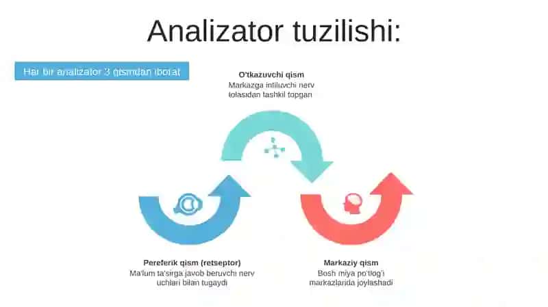 Analizatorlar haqida tushuncha 4