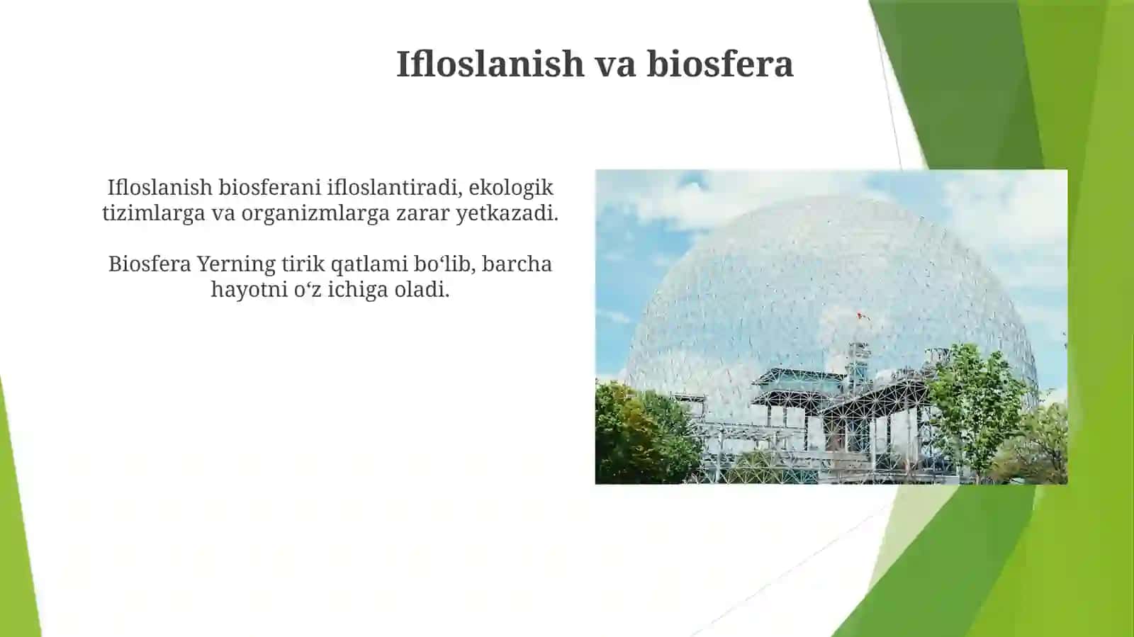 Ekosistemalar: Biosferaning Qurilish Blokchalari 4