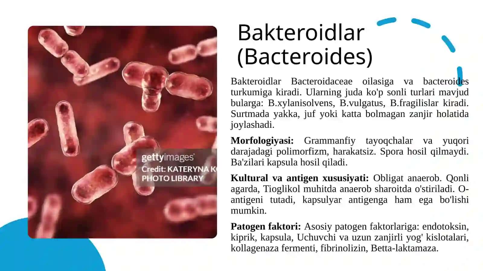 Patogen anaërob klostridial bo'lmagan infeksiya qo'zg'atuvchilari (Bacteroides, Prevotella, Fusobacterium) kasalliklari patogenezi 4