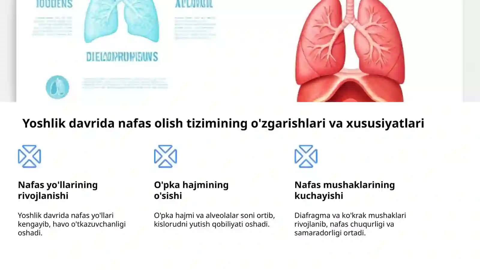 Yoshlik davrlari: morfologiya va fiziologiya 4