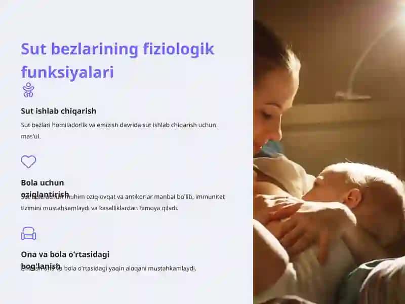 Sut bezlari faoliyatuvining boshqarilishi, sut bezining yoshga qarab o’zgarishi 4