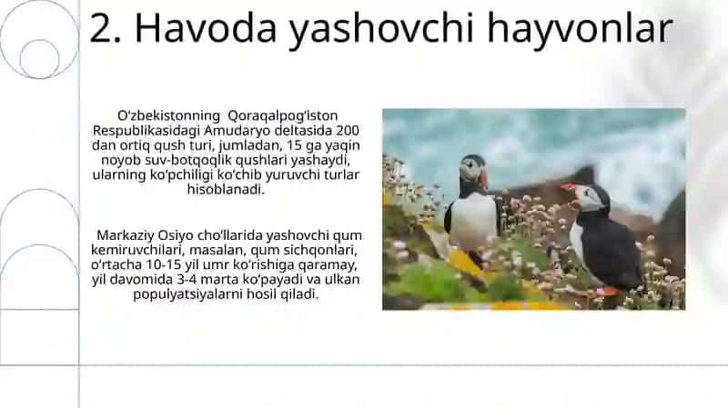 Hayvonot Olamining Yashash Tarzi 4